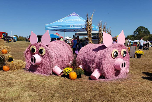 Two hogs made out of hay and colored pink